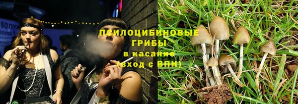 прущая мука Бородино