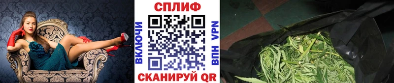 Купить  Гдов  Шишки марихуана семена 